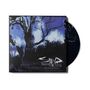 „Staind Break the Cycle 25th Anniversary Live“ vor düsterer Baum Silhouette in blau-violet Tönen. Rechteckige Hülle.