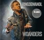 „RINGSGWANDL WOANDERS“. Ein Mann in Jeansjacke mit erhobenen Händen auf einer Bühne, umgeben von Nebel.