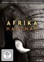 : Afrika hautnah, DVD,DVD