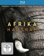 : Afrika hautnah (Blu-ray), BR,BR