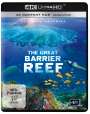 : The Great Barrier Reef (Ultra HD Blu-ray), UHD