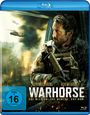 Johnny Strong: Warhorse (Blu-ray), BR