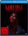 Anthony DiBlasi: Malum - Böses Blut (Blu-ray), BR