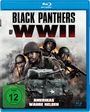 Michael Phillip Edwards: Black Panthers of WWII (Blu-ray), BR