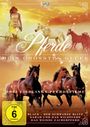 Mark Haber: Pferde - Mein größtes Glück, DVD,DVD,DVD