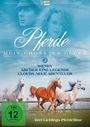 Denny Lawrence: Pferde - Mein größtes Glück 2, DVD,DVD,DVD