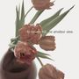 To Rococo Rot: The Amateur View (Limited Handnumbered Expanded Edition 2025), LP,LP