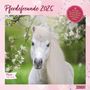 : Pferdefreunde 2025 - Broschürenkalender - Kinder-Kalender - Format 30 x 30 cm, KAL