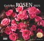 : Geliebte Rosen 2025 - DUMONT Wandkalender - mit allen wichtigen Feiertagen - Format 38,0 x 35,5 cm, KAL