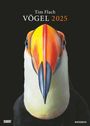 : Tim Flach: Vögel 2025 - Posterkalender von DUMONT- Vogel-Porträts von Tim Flach - Poster-Format 50 x 70 cm, KAL