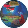 Ashbury: Endless Skies (Picture Disc), LP