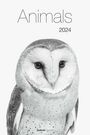 : Animals 2024 - Foto-Kalender - Poster-Kalender - 33x49,5 - Tiere, KAL