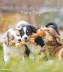 : Niedliche Hundekinder 2025 - Wand-Kalender - Tier-Kalender - 30x34, KAL