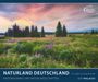 : PALAZZI - Naturland Deutschland 2025 Wandkalender, 60x50cm, Posterkalender mit schönen Bildern aus Nationalsparks und Naturschutzgebieten, Felder, Wiesen und Wälder, internationales Kalendarium, KAL