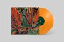 Text: "Akusmi" und "Fleeting Future". Buntes abstraktes Muster auf dem Albumcover, orangefarbene Schallplatte sichtbar.