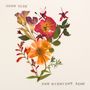 John Blek: The Midnight Ache, LP