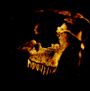 Ein beleuchteter, alter Schädel in einem dunklen Hintergrund, der einen mysteriösen, beinahe bedrohlichen Eindruck vermittelt.