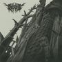 Beltez: A Grey Chill And A Whisper, LP