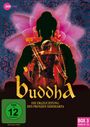 Dharmesh Shah: Buddha - Die Erleuchtung des Prinzen Siddharta Box 3, DVD,DVD,DVD