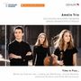 : Amelio Trio - Time in Flux ..., CD