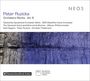 Peter Ruzicka (geb. 1948): Orchesterwerke Vol.6, CD