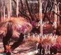 Ectogram: Fluff On A Faraway Hill, CD