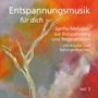 "Entspannungsmusik für dich. Sanfte Melodien zur Entspannung und Regeneration - mit Klavier und Naturgeräuschen. Vol. 3."  
Heller Baumast vor einem bunten, verschwommenen Hintergrund in Orange- und Grautönen.