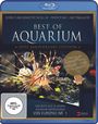 : Best of Aquarium (10th Anniversary Edition) (Blu-ray), BR