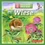 : Natur-Memo "Wiese", SPL