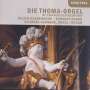 : Die Thoma Orgel St. Tertulin in Schlehdorf, CD