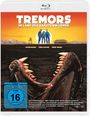 "TREMORS IM LAND DER RAKETENWÜRMER" große Schrift, drei Personen und Sonnenuntergang im Hintergrund, riesiger Wurm im Vordergrund.