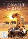 : Tierwelt Afrika - Raubtiere der Serengeti, DVD,DVD