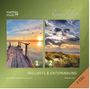 Ronny Matthes: Wellness & Entspannung (Vol. 1 & 2) - Gemafreie Meditationsmusik - Einschlafhilfe & Tiefenentspannung, CD,CD
