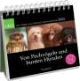 Geo: Postkartenkalender 2025: Von Pechvögeln und bunten Hunden, KAL