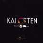 Kai Otten: Passion Lounge, CD