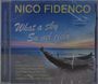 Nico Fidenco: What A Sky - Su Nel Cielo: Die großen Erfolge, CD