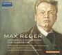Max Reger: Sämtliche Kammermusik für Klarinette, CD,CD