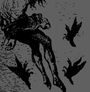Agalloch: The Demonstration Archive (1996-1998) 2LP, LP,LP