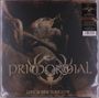 Text: "PRIMORDIAL - LIVE IN NEW YORK CITY". Dunkles Cover mit einer Person beim Singen.