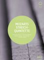 Wolfgang Amadeus Mozart: Streichquintette Nr.1-6, DVD,DVD