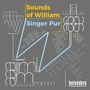 "Sounds of William Singer Pur" in gelber und blauer Schrift, komplexes Muster mit Linien und Formen, "belvedere" unten.