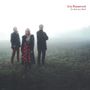 Trio Rosenrot: Es fiel ein Reif, CD