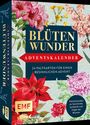 Adventskalender-Kartenset: Blütenwunder, Div.