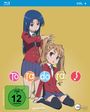 Tatsuyuki Nagai: Toradora! Vol. 4 (Blu-ray), BR