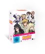 Haganai Vol. 1 (Limited Mediabook Edition) (mit Sammelschuber), DVD