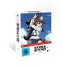 Strike Witches Vol. 1 (Limited Mediabook Edition) (mit Sammelschuber), DVD