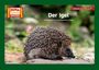 : Der Igel / Kamishibai Bildkarten, Buch