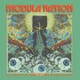 „MODULA NATION“ oben, „THE RIFT“ unten auf grüner Illustration mit Augen, blauen Wirbeln und einem Riss in der Mitte.
