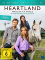 Dean Bennett: Heartland - Paradies für Pferde Staffel 09 Box 1, DVD,DVD,DVD