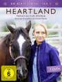 Dean Bennett: Heartland - Paradies für Pferde Staffel 08 Box 2, DVD,DVD,DVD